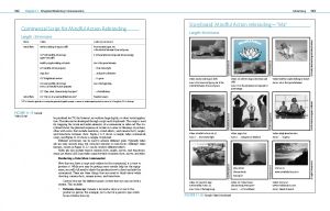 Communication, Organization, Adaptation interior pages