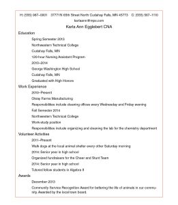 Example Resume